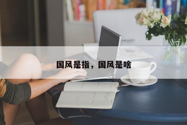 国风是指,国风是啥